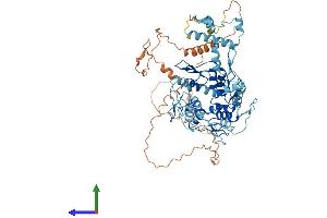 AlphaFold protein structure predicition of Human Recombinant ZNF567 Protein, UniprotID Q8N184