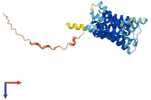 Solute Carrier Family 35, Member G4 (SLC35G4) (AA 1-338) protein (His tag)