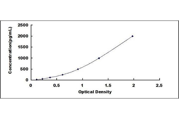 C19ORF80 ELISA Kit