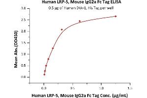 Immobilized Human Dkk-1, His Tag (ABIN2180966,ABIN2180965) at 5 μg/mL (100 μL/well) can bind Human LRP-5, Mouse IgG2a Fc Tag (ABIN6731303,ABIN6809855) with a linear range of 0. (LRP5 Protein (AA 644-1263) (Fc Tag))