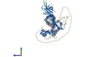 AlphaFold protein structure predicition of Human Recombinant ARHGAP26 Protein, UniprotID Q9UNA1