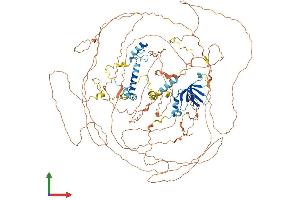 AlphaFold protein structure predicition of Human Recombinant ATXN2L Protein, UniprotID Q8WWM7