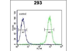 EPC2 Antibody (N-term) (ABIN651410 and ABIN2840221) flow cytometric analysis of 293 cells (right histogram) compared to a negative control cell (left histogram). (EPC2 antibody  (N-Term))
