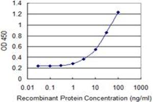 ELISA image for anti-Clathrin Interactor 1 (CLINT1) (AA 161-262) antibody (ABIN599495) (CLINT1 antibody  (AA 161-262))