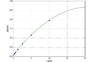 2',3'-Cyclic Nucleotide 3' phosphodiesterase (CNP) ELISA Kit