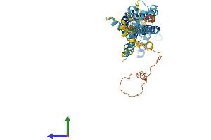 AlphaFold protein structure predicition of Mouse Recombinant Panx1 Protein, UniprotID Q9JIP4 (PANX1 Protein (AA 1-426) (His tag))