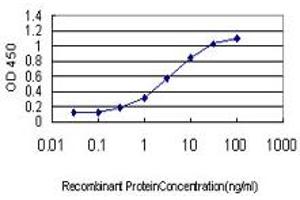 Detection limit for recombinant GST tagged FXR1 is approximately 0. (FXR1 antibody  (AA 121-220))