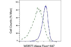 Flow cytometric analysis of WDR77 expression in HeLa cells using WDR77 antibody (ABIN7800857), 1:2,000). (WDR77 antibody)