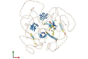 AlphaFold protein structure predicition of Mouse Recombinant Pard3 Protein, UniprotID Q99NH2