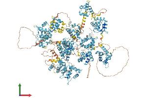 AlphaFold protein structure predicition of Mouse Recombinant Efcab6 Protein, UniprotID Q6P1E8