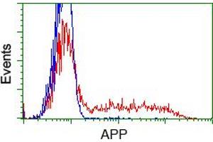 Image no. 2 for anti-Amyloid beta (A4) Precursor Protein (APP) antibody (ABIN1496880) (APP antibody)