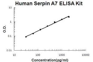 Human Serpin A7 PicoKine ELISA Kit standard curve