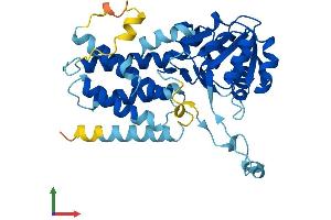 AlphaFold protein structure predicition of Human Recombinant EIF2B2 Protein, UniprotID P49770