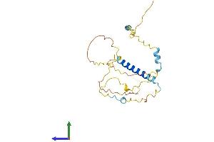 AlphaFold protein structure predicition of Human Recombinant INCA1 Protein, UniprotID Q0VD86 (INCA1 Protein (AA 1-236) (His tag))