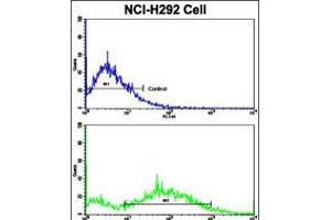 Flow cytometric analysis of NCI-H292 cells using Cyclin E1 Antibody (bottom histogram) compared to a negative control cell (top histogram).