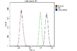 Flow Cytometry analysis of A431 cells using anti-HP1 gamma antibody (ABIN5693033). (CBX3 antibody  (AA 2-183))