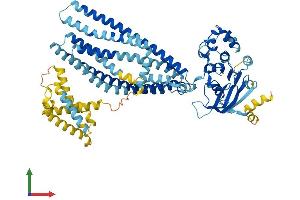 Protein Structure (PS) image for Transporter 2, ATP-Binding Cassette, Sub-Family B (MDR/TAP) (TAP2) (AA 1-702) protein (His tag) (ABIN7563194)