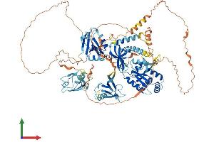 Protein Structure (PS) image for Tight Junction Protein 3 (Zona Occludens 3) (TJP3) (AA 1-919) protein (His tag) (ABIN7545771)