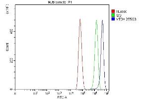 Flow Cytometry analysis of U87 cells using anti-LYRIC antibody (ABIN7599627). (MTDH antibody  (AA 101-270))