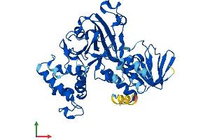 AlphaFold protein structure predicition of Mouse Recombinant Gdi2 Protein, UniprotID Q61598 (GDI2 Protein (AA 1-445) (His tag))