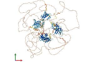 AlphaFold protein structure predicition of Human Recombinant RGS12 Protein, UniprotID O14924 (RGS12 Protein (AA 1-1447) (His tag))