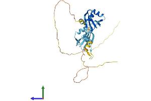 AlphaFold protein structure predicition of Mouse Recombinant Hnrnpab Protein, UniprotID Q99020