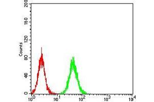 Flow cytometric analysis of K562 cells using NS1 mouse mAb (green) and negative control (red).