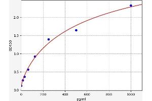 FURIN ELISA Kit