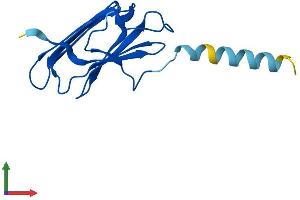 AlphaFold protein structure predicition of Mouse Recombinant Ptges3l Protein, UniprotID Q9D9A7 (Ptges3l Protein (AA 1-131) (His tag))