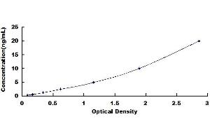 Typical standard curve (SOX9 ELISA Kit)