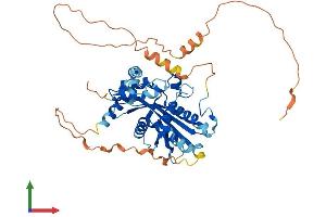 AlphaFold protein structure predicition of Mouse Recombinant Mael Protein, UniprotID Q8BVN9 (MAEL Protein (AA 1-434) (His tag))