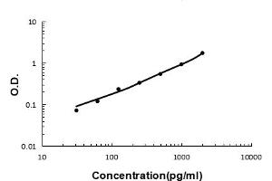 Sandwich ELISA - Recombinant human Elafin/Skalp protein standard curve. (PI3 antibody  (AA 61-117))
