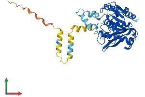 AlphaFold protein structure predicition of Human Recombinant ABHD12B Protein, UniprotID Q7Z5M8 (ABHD12B Protein (AA 1-362) (His tag))