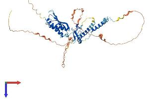 RNF25 Protein (AA 1-459) (His tag)