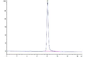Size-exclusion chromatography-High Pressure Liquid Chromatography (SEC-HPLC) image for Sema Domain, Immunoglobulin Domain (Ig), Transmembrane Domain (TM) and Short Cytoplasmic Domain, (Semaphorin) 4B (SEMA4B) (AA 44-717) protein (His tag) (ABIN7275563)