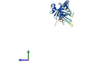 AlphaFold protein structure predicition of Mouse Recombinant Itm2c Protein, UniprotID Q91VK4 (ITM2C Protein (AA 1-269) (His tag))