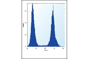 RUNX1 Antibody  (ABIN650732 and ABIN2839428) flow cytometric analysis of Hela cells (right histogram) compared to a negative control cell (left histogram). (RUNX1 antibody  (AA 227-255))