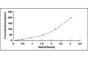 Typical standard curve (SERPINC1 ELISA Kit)