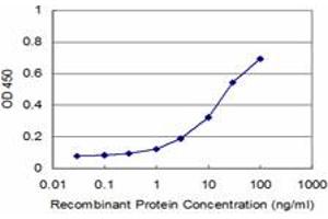 Detection limit for recombinant GST tagged FZD3 is approximately 1ng/ml as a capture antibody. (FZD3 antibody  (AA 55-157))