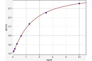 Typical standard curve (OPLAH ELISA Kit)