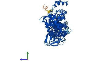 AlphaFold protein structure predicition of Human Recombinant NAPRT Protein, UniprotID Q6XQN6 (NAPRT1 Protein (AA 1-538) (His tag))