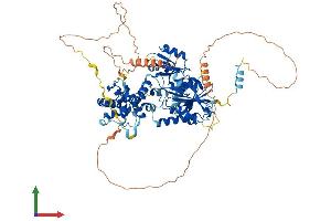 Protein Structure (PS) image for NOP2/Sun Domain Family, Member 7 (NSUN7) (AA 1-724) protein (His tag) (ABIN7556977)