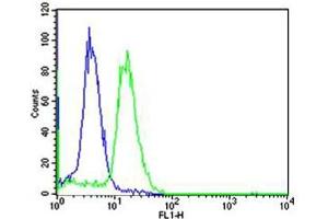 Flow cytometric analysis of Ramos cells using TCL1A Antibody (Center)(green, Cat(ABIN1944776 and ABIN2838519)) compared to an isotype control of rabbit IgG(blue). (TCL1A antibody  (AA 32-66))