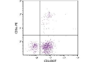 Chicken peripheral blood lymphocytes were stained with Mouse Anti-Chicken CD3-BIOT. (CD3 antibody  (Biotin))