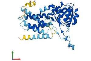 AlphaFold protein structure predicition of Mouse Recombinant Eif2b2 Protein, UniprotID Q99LD9