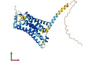 AlphaFold protein structure predicition of Mouse Recombinant Ptgdr2 Protein, UniprotID Q9Z2J6 (Prostaglandin D2 Receptor 2 (PTGDR2) (AA 1-382) protein (His tag))