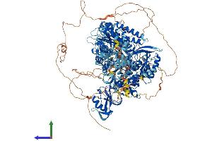 Protein Structure (PS) image for DNA Polymerase alpha (POLA1) (AA 1-1462) protein (His tag) (ABIN7553726)