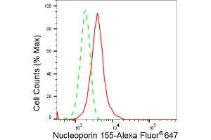 Flow cytometric analysis of Nucleoporin 155 expression in HepG2 cells using Nucleoporin 155 antibody (ABIN7799675), 1:2,000). (Recombinant NUP155 antibody)