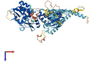 AlphaFold protein structure predicition of Human Recombinant RHOBTB3 Protein, UniprotID O94955 (RHOBTB3 Protein (AA 1-611) (His tag))