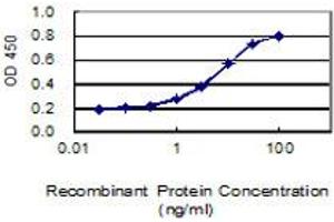 Detection limit for recombinant GST tagged EMB is 0. (Embigin antibody  (AA 1-327))